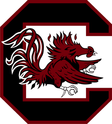 South Carolina logo